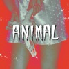 Animal - Single