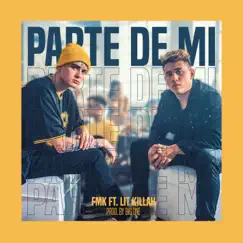 Parte de Mí (feat. Lit Killah) Song Lyrics