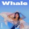 Whale artwork