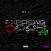 Exposing Opps 2.0 (feat. ND & Lr) artwork