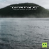 Rain Day at the Lake artwork