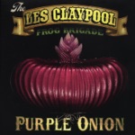 The Les Claypool Frog Brigade - David Makalaster