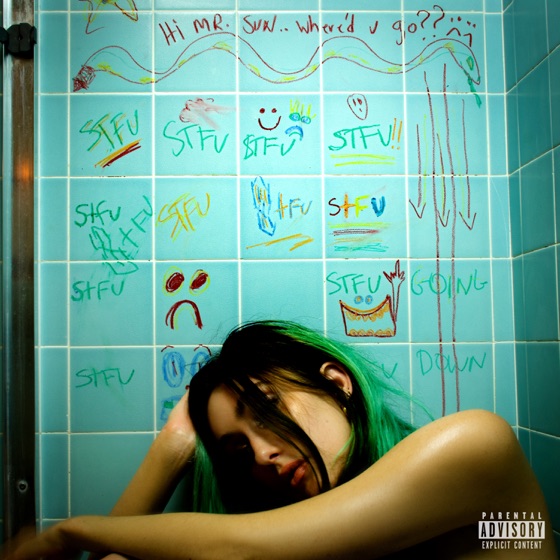 Cover artwork for stfu