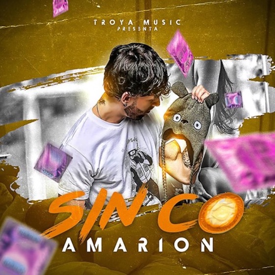 Cover artwork for Sin Co