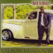 Back to Basics artwork