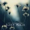 Inner Peace - Sleep Music Academy lyrics