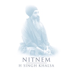 NITNEM cover art