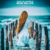 Never Too Late artwork