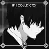 If I Could Cry (feat. DR3W) - Single album lyrics, reviews, download