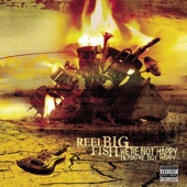 Your Guts (I Hate ' em) by Reel Big Fish