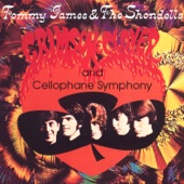 Tommy James & The Shondells - Do Something To Me