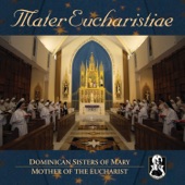 Mater Eucharistiae (International Version) artwork