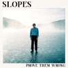 Prove Them Wrong by Slopes iTunes Track 1