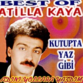 Kutupta Yaz Gibi artwork