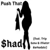 Push That (feat. Trip Sona & Mister Barksdale) - Single album lyrics, reviews, download