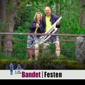 Festen - EP artwork