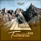 Tritonia 313 artwork