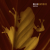 bajar descargar mp3 24 - Gaia