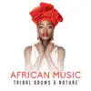 African Music: Tribal Drums & Nature – Rhythms of Dark Continent, Shamanic Dance, Spiritual Savannah Experience, African Meditation album lyrics, reviews, download