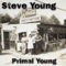 Jig - Steve Young lyrics