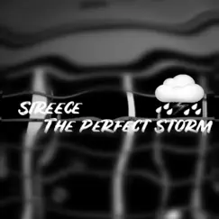 The Perfect Storm - Single by Sireece album reviews, ratings, credits