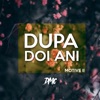 Dupa Doi Ani - Single