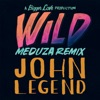 John Legend - Wild