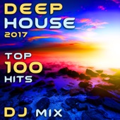 Deep House 2017 Top 100 Hits DJ Mix artwork