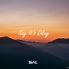 Say It's Okay - Single