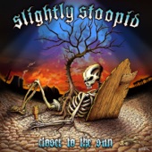 Slightly Stoopid - Up On A Plane