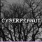 Into the Unholy - Cyberpeanut lyrics