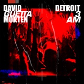 Detroit 3 AM (Radio Edit) artwork