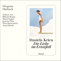 Daniela Krien - Die Liebe im Ernstfall artwork