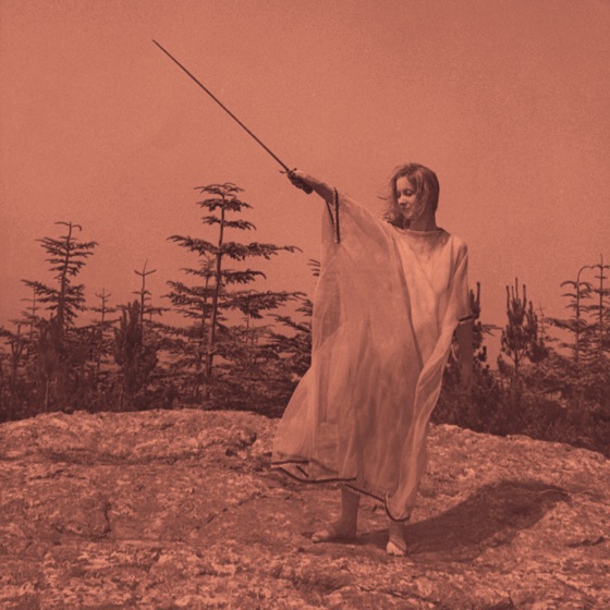 Cover artwork for No Need For a Leader