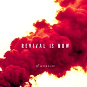 Revival is Now (feat. Kathryn Krick & Jeanntal Marshall) artwork