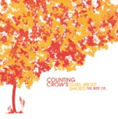 Counting Crows - Einstein On the Beach (For an Eggman)