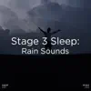 !!!" Sleep Stage 3: Rain Sounds "!!! album lyrics, reviews, download