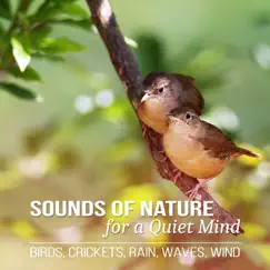 Sounds of Nature for a Quiet Mind: Peaceful Music for Relaxation with Birds, Crickets, Rain, Waves, Wind by Natural Sounds Music Academy album reviews, ratings, credits