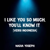 I Like You So Much, You'll Know It (Remastered) [Versi Indonesia] artwork