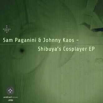 Kamikaze by Sam Paganini & Johnny Kaos song reviws