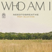 Who Am I (feat. Elle King) artwork