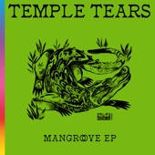 Mangrove EP artwork