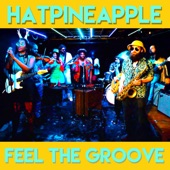 HatPineapple - Feel The Groove