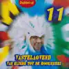 Stream & download Vastelaovend van Eijsde tot de Mookerhei 11