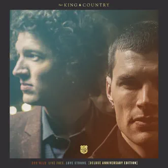 Priceless by For KING & COUNTRY song reviws