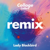 Collage (Calibre Remix) - Single