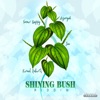 Shining Bush Riddim - EP, 2021