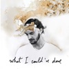 What I Could've Done - Single