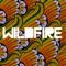 Wildfire (feat. Little Dragon) - Single
