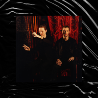 These New Puritans - Inside the Rose artwork